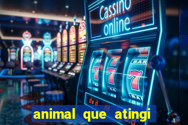 animal que atingi 230 decibeis